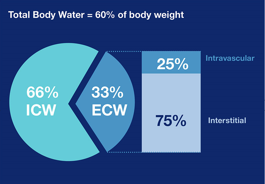 grafico dell'acqua nel corpo totale