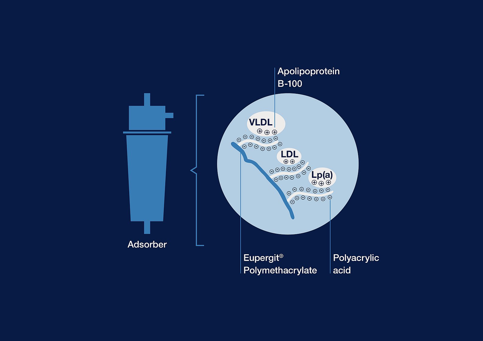 Aferesi delle lipoproteine DALI