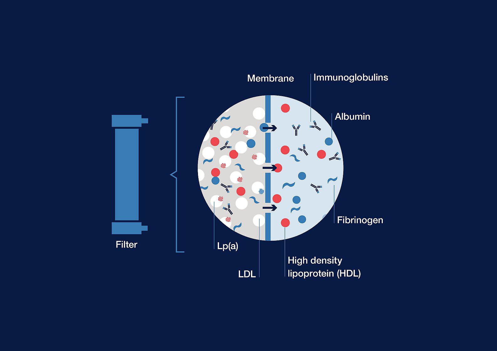 Aferesi delle lipoproteine MONET